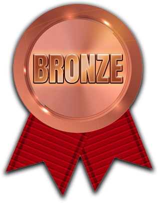 BronzeSponsorsBadge
